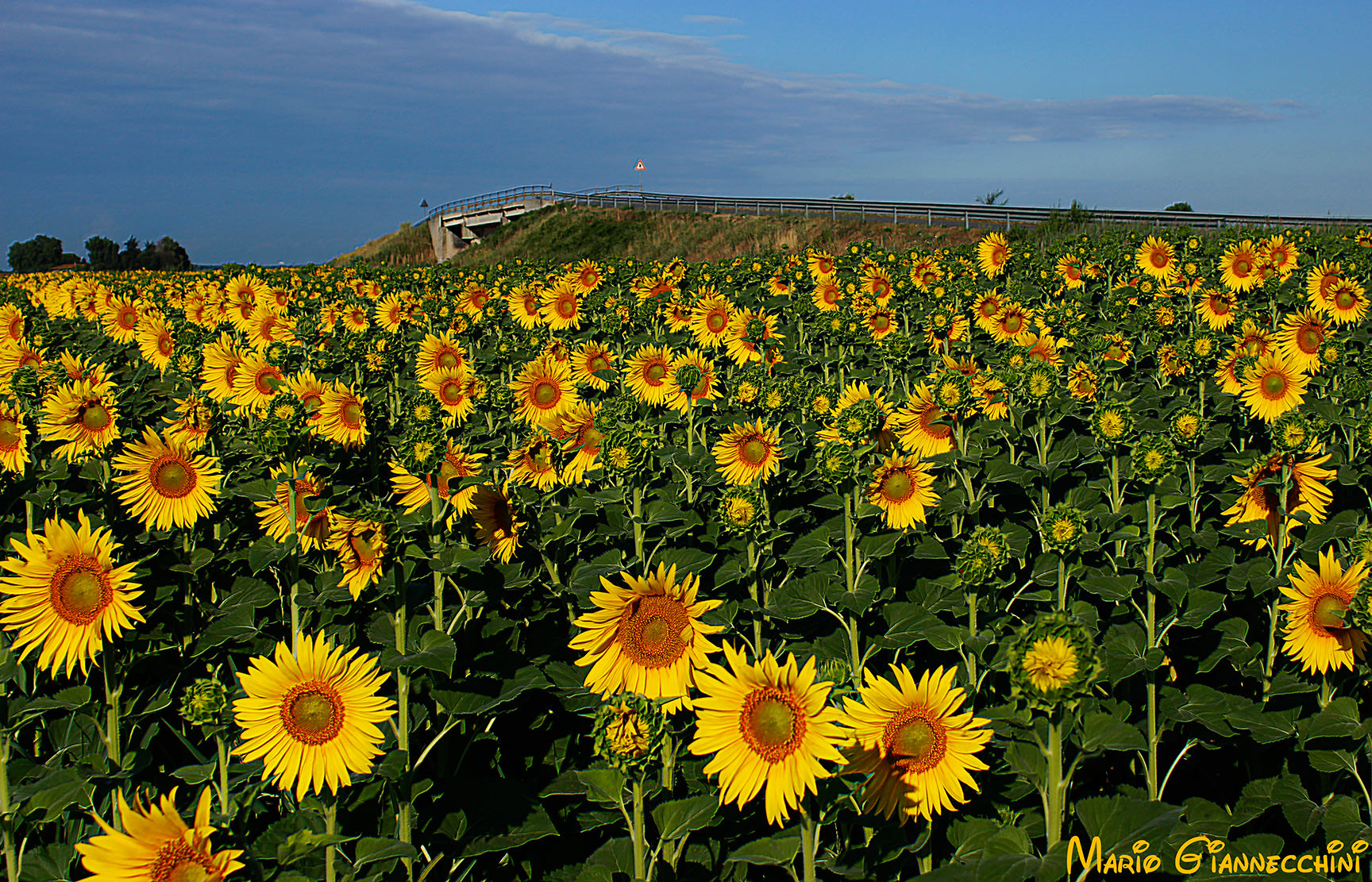 Siccità e cambiamenti climatici, la strategia per mettere in sicurezza la Toscana