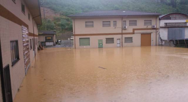 Camaiore, online i moduli per la richiesta danni per l&#8217;alluvione del 21 luglio