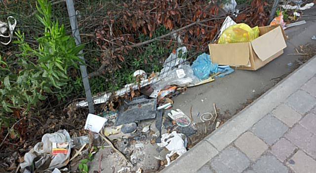&#8220;Le problematiche igienico-ambientali di Viareggio&#8221;
