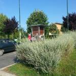 Ladri in azione mentre si prende l'acqua. Furti a raffica a Capezzano Pianore 1 foto N.D.