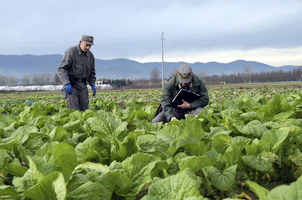 Operazione “Cerere”. Controlli nei mercati agricoli locali di Asl e Forestale