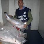 pesce sequestro guardia costiera