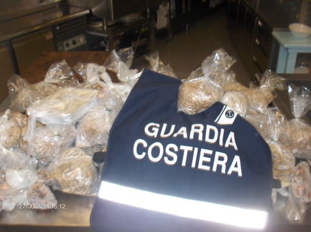 Operazione “Consumer protection”, sequestrati 615 kg di pesce. 20mila euro di multe