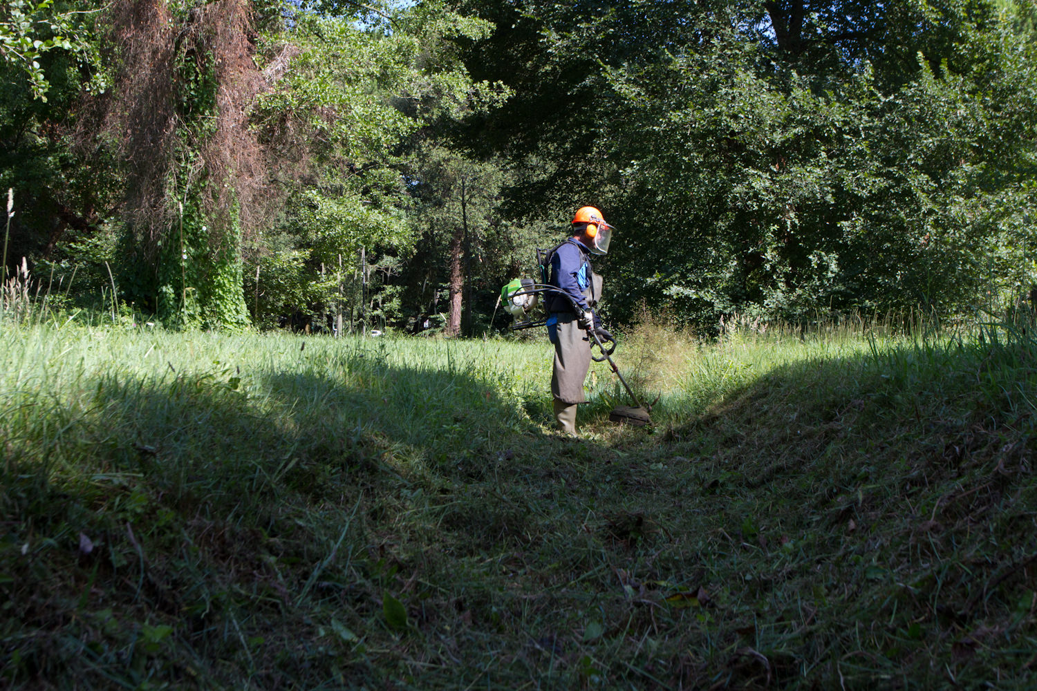 Secondo taglio per la vegetazione cresciuta nei fossi della pineta di Ponente