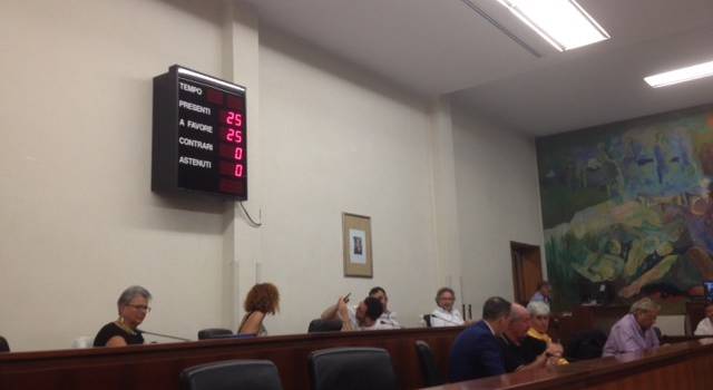 Approvata all&#8217;unanimità in consiglio comunale la mozione sul Carnevale di Viareggio