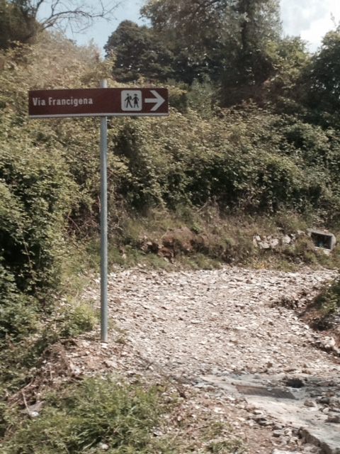 “Un disastro la via Francigena”. Proteste dei turisti e dell’ex sindaco (le foto)