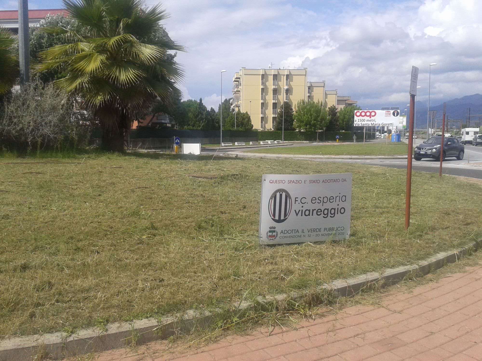 Tagliata l’erba dell’aiuola adottata dall’Esperia Viareggio