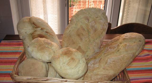 La storia del tipico pane toscano. A spasso con Galatea