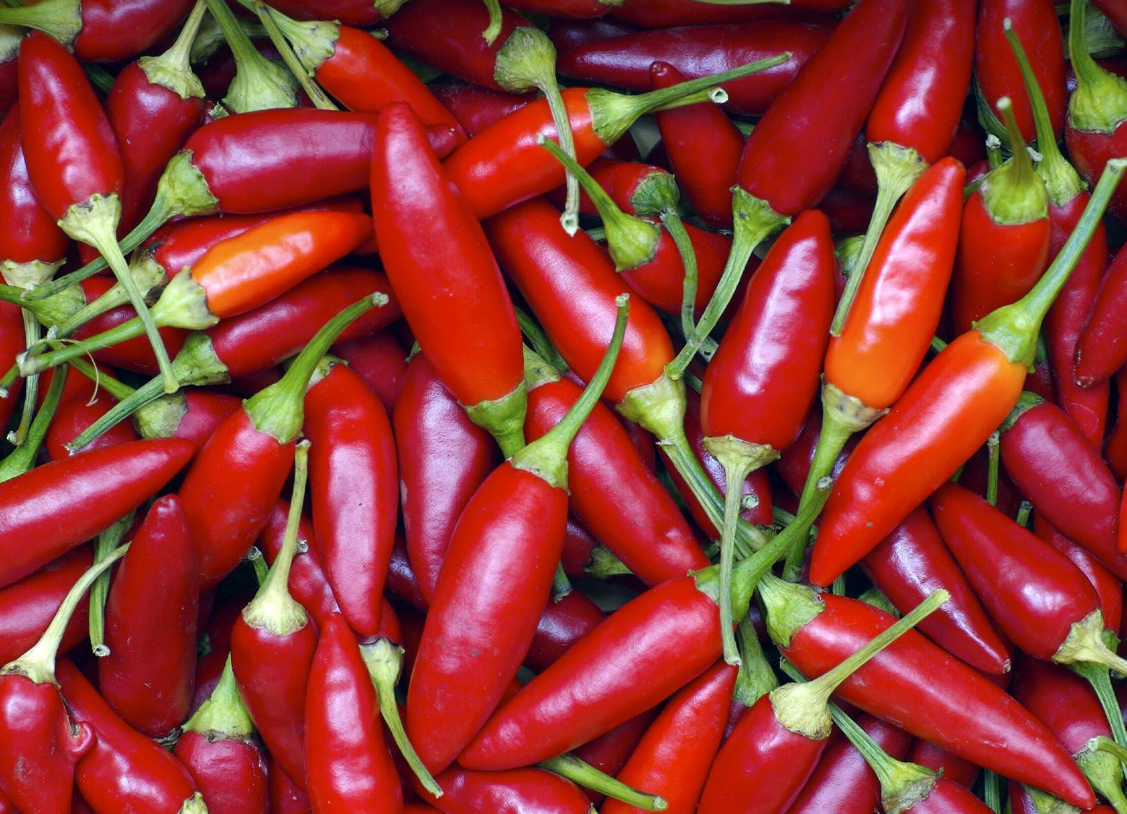 Il peperoncino conquista l’autostrada