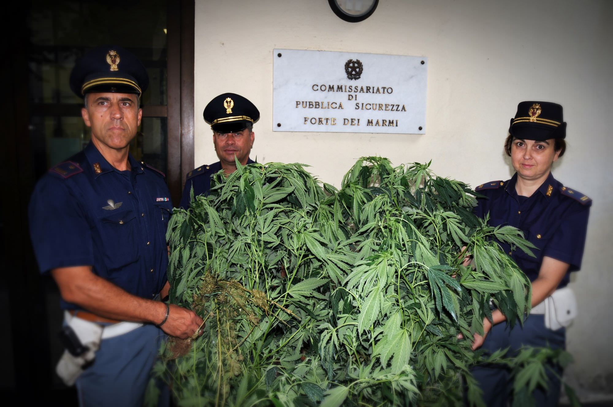 Coltiva marijuana nel giardino della villa a Forte dei Marmi, denunciato un 37enne