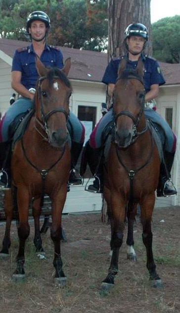 Trovato in Pineta con hashish e cocaina. Fermato un 16enne