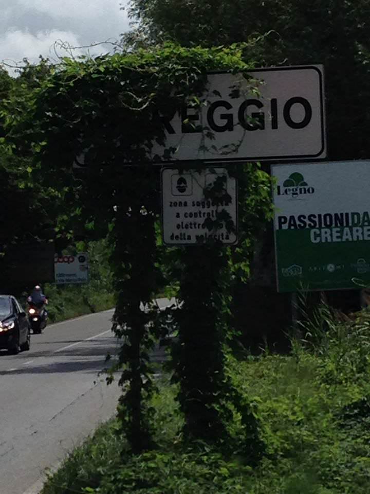 Cartello d’ingresso a Viareggio nascosto dall’erba alta