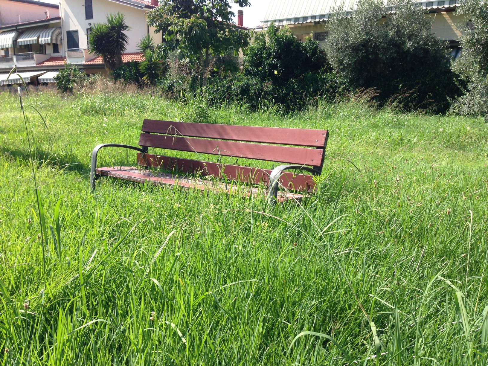 “Al Parco Costruttori di Pace erba alta due metri, che altro aspetta il Comune?”