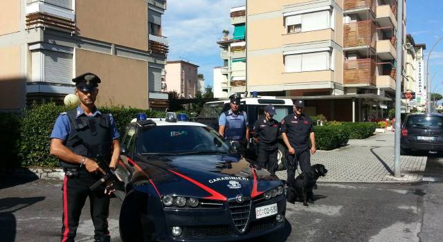 Raffica di controlli in pineta: prevenzione e repressione da parte dei carabinieri (le foto)