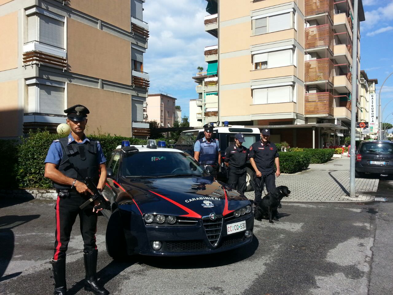 Raffica di controlli in pineta: prevenzione e repressione da parte dei carabinieri (le foto)