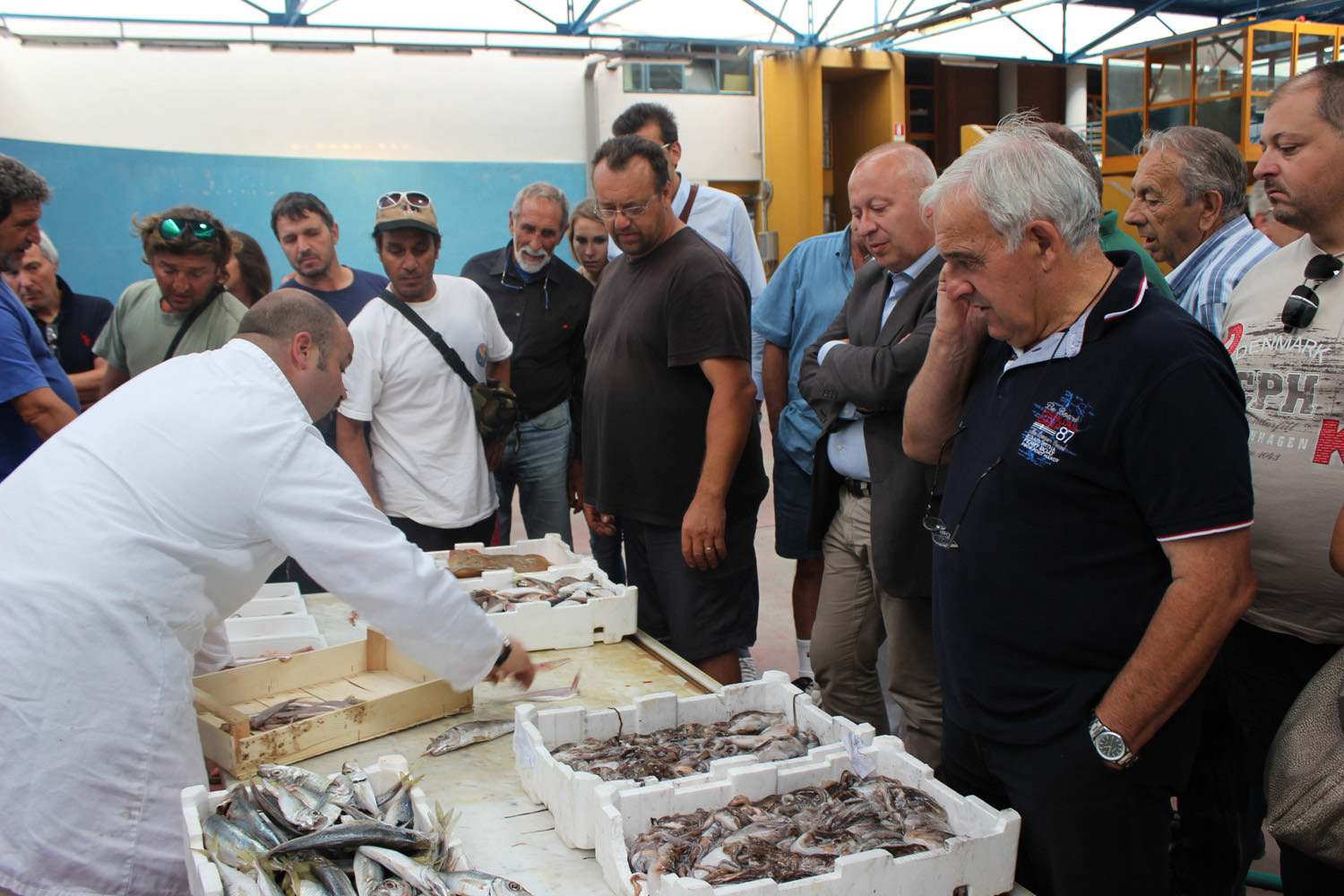 Il pesce “povero” del Mar Tirreno nelle mense e nella grande distribuzione