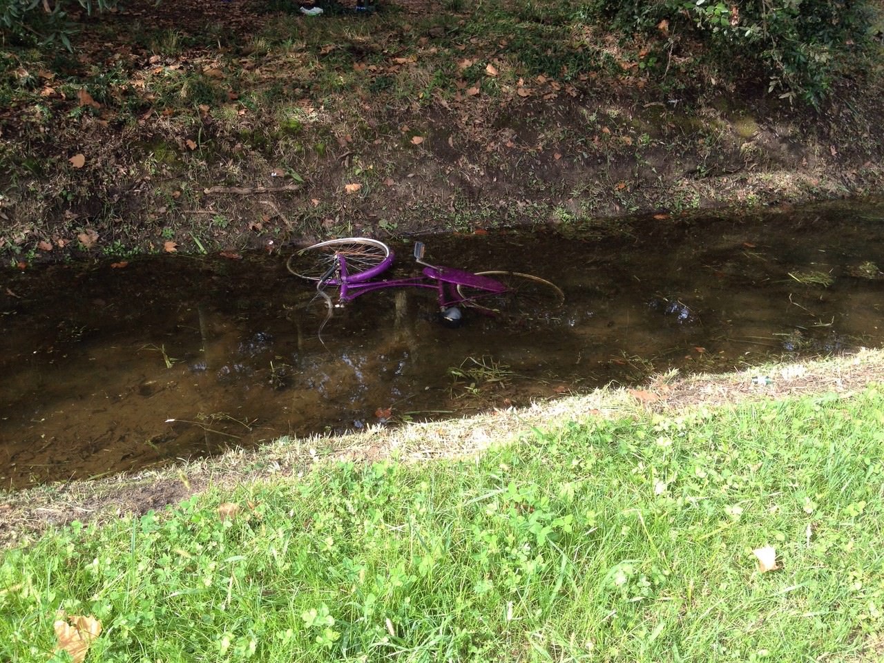 Fossi come discariche. Nelle acque della Pineta spuntano biciclette