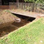 Fossi come discariche. Nelle acque della Pineta spuntano biciclette 1 (Foto: Vt)