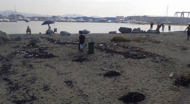 Turisti e residenti si puliscono da soli la spiaggia libera