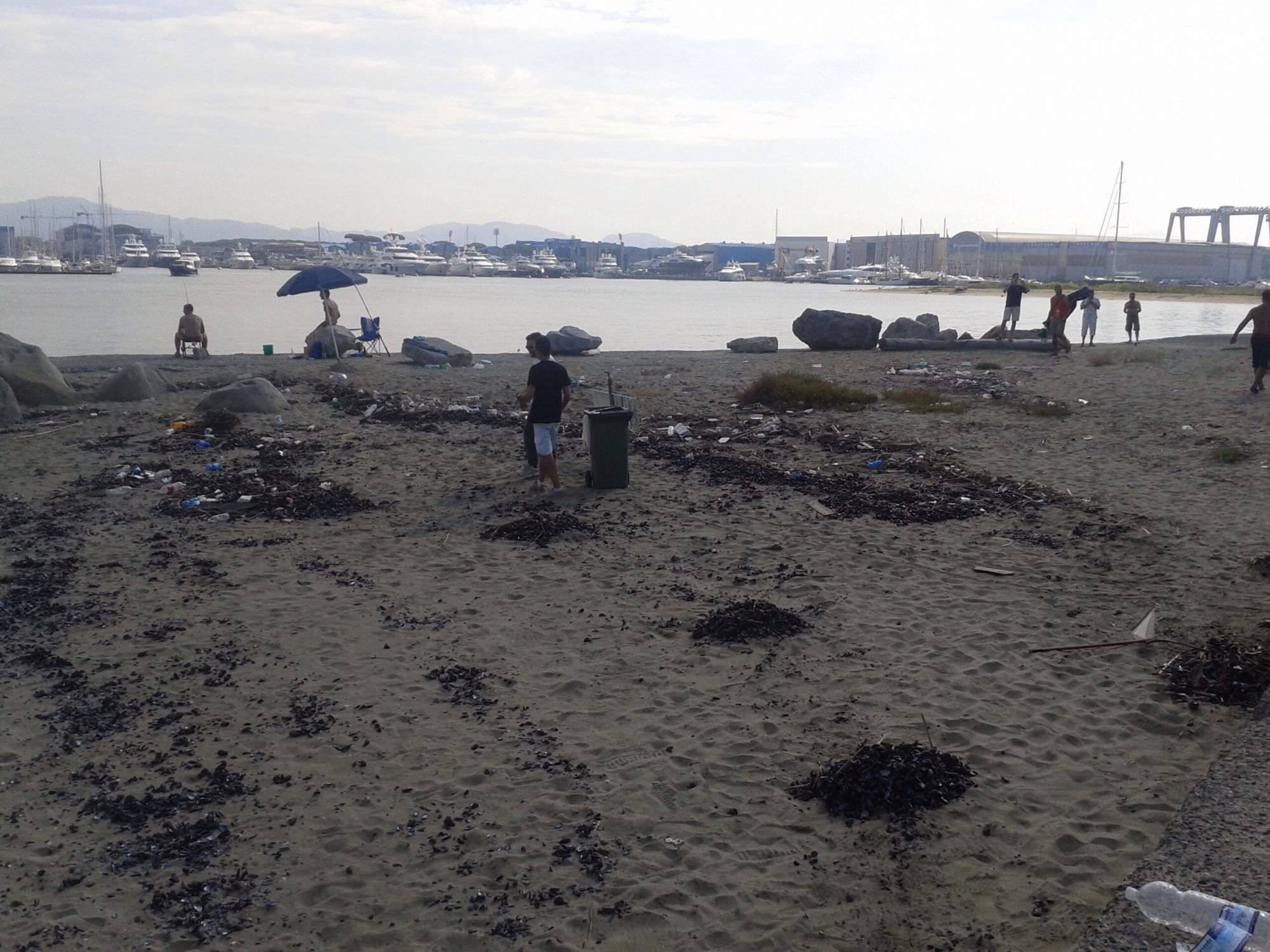 Turisti e residenti si puliscono da soli la spiaggia libera