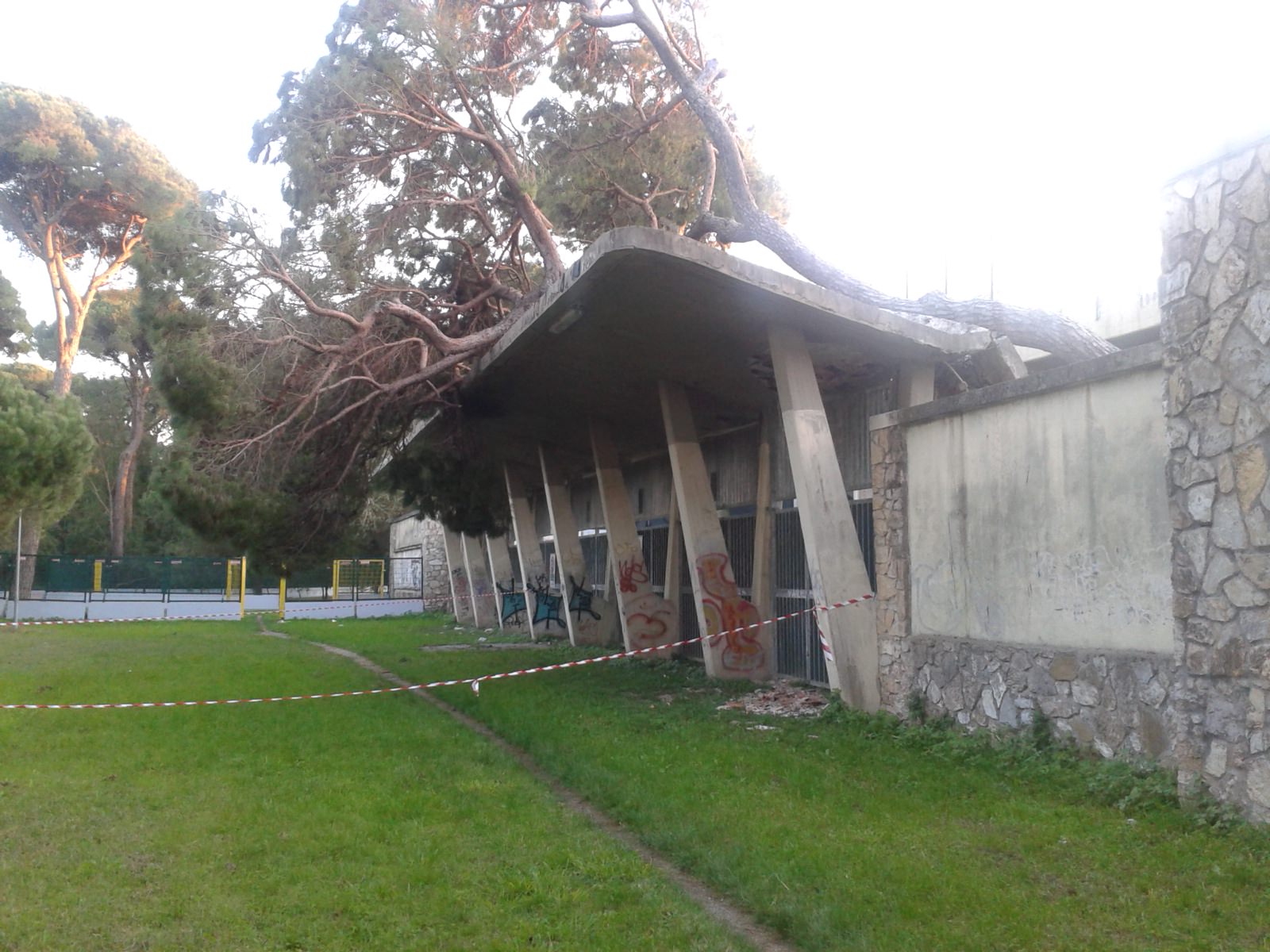 Verrà rimosso l’albero caduto sulla pensilina dello stadio “dei Pini”