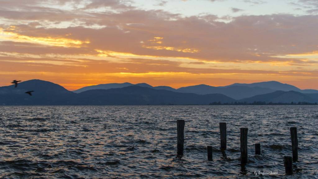 lago di masaciuccoli