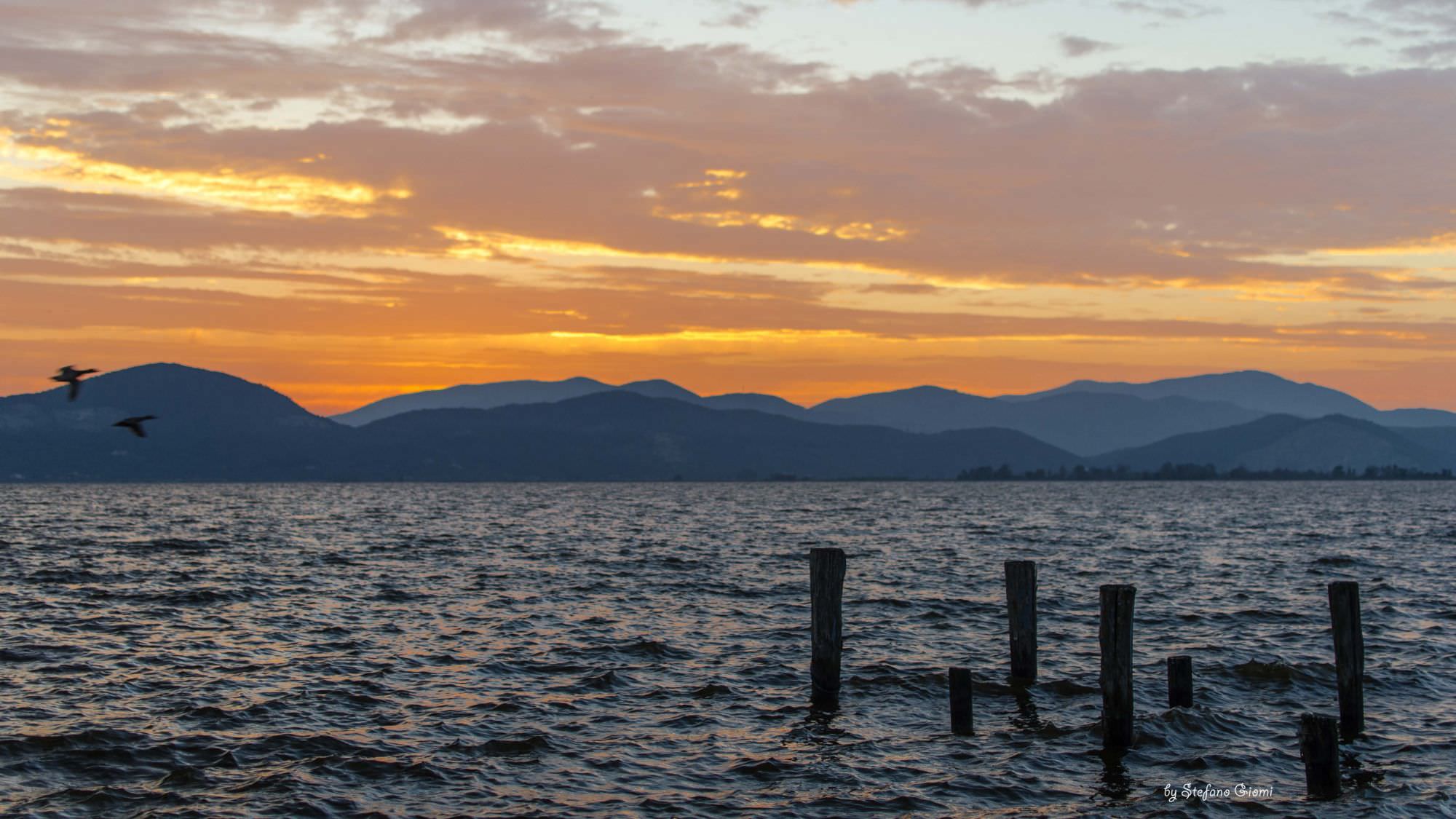 La barca si rovescia sul lago, annega sul Massaciuccoli una persona