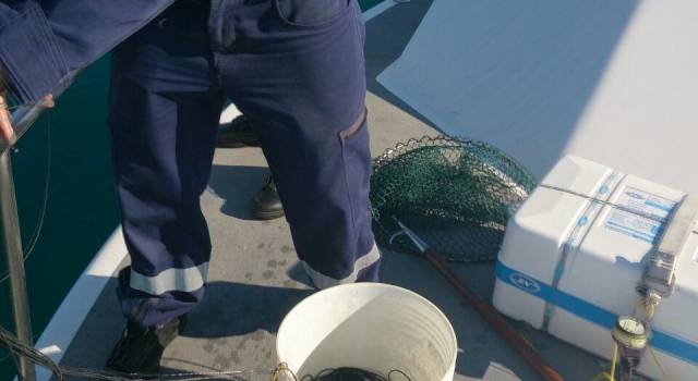 Sequestrata dalla Guardia Costiera attrezzatura da pesca pericolosa