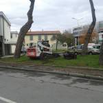 Buche e strade sconnesse. Al via i lavori di asfaltatura in tutta Viareggio 1 (Foto: Vt)
