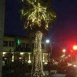 illuminazione, luci, natale, forte dei marmi