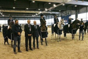 La Versilia sul gradino più altro del podio alla Fiera Internazionale del Cavallo con i cavalieri del Dunia Ranch