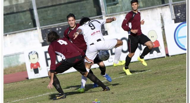 La fotogallery di Viareggio-Pro Livorno