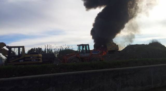 Incendio tra Viareggio e Lido: fumo visibile da chilometri di distanza