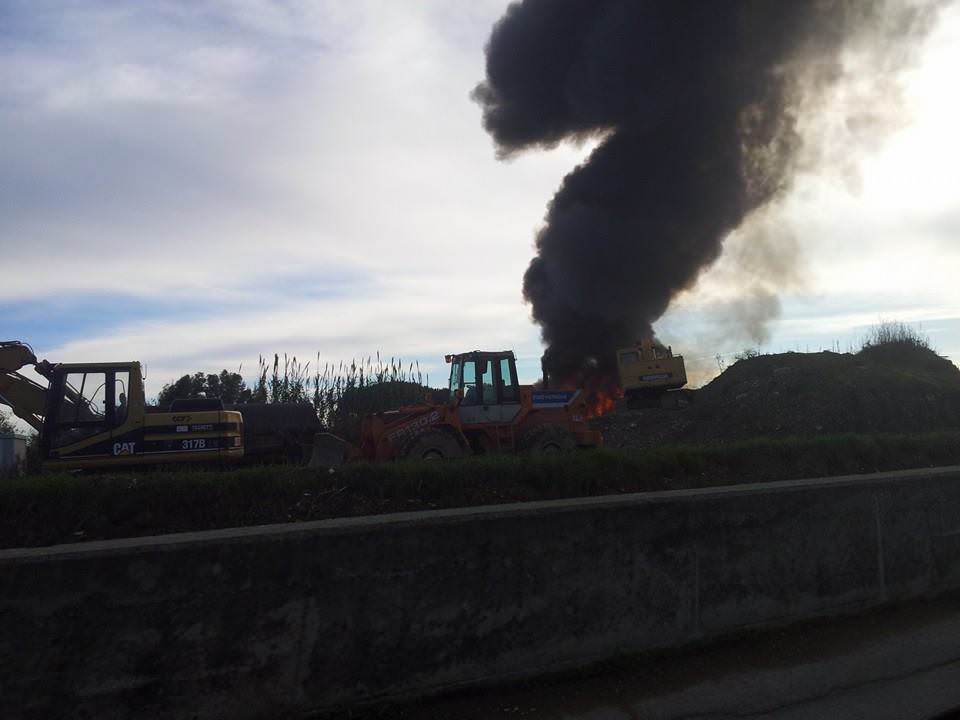 Incendio tra Viareggio e Lido: fumo visibile da chilometri di distanza