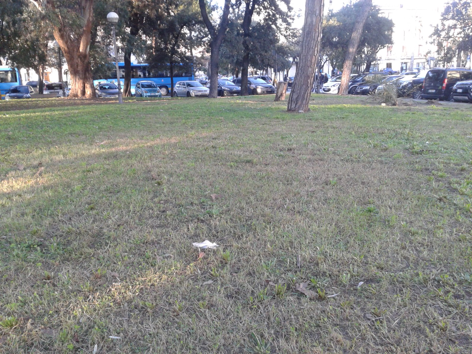 Tagliata l’erba in Piazza d’Azeglio, bel colpo d’occhio a due passi dal lungomare