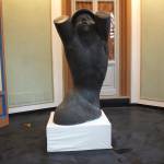 viani mostra