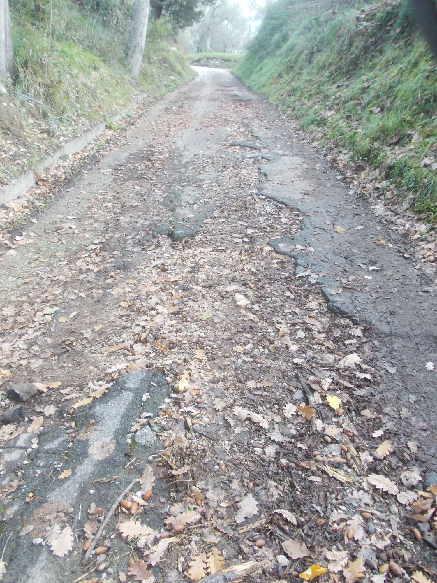 “Una strada disastrata, qualcuno ci aiuti”. Proteste e appello a Corsanico