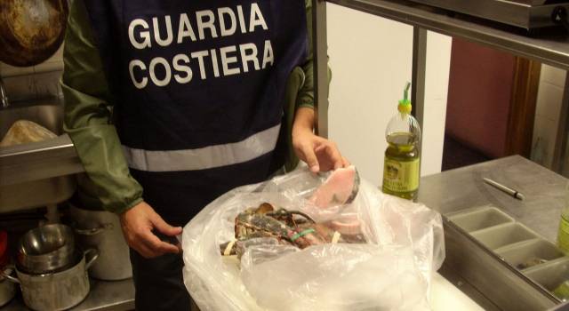 25mila euro e 60 chili di prodotti ittici sequestrati. Il bilancio dell&#8217;operazione &#8220;Labyrinth&#8221;