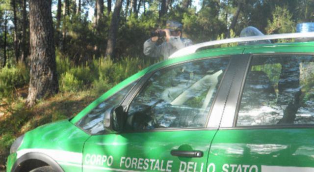 Presentato il Rapporto 2015 del Corpo Forestale dello Stato in Toscana