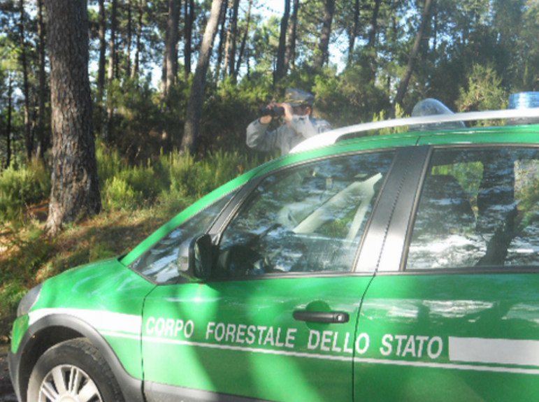 Presentato il Rapporto 2015 del Corpo Forestale dello Stato in Toscana