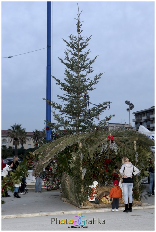 Grazie ai viareggini la città si fa bella per Natale