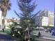 “Non facciamoci portare via anche il Natale”. La mobilitazione su Facebook per abbellire il triste albero di Piazza Mazzini