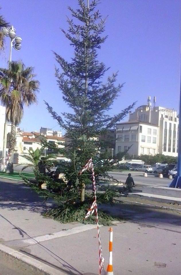 “Non facciamoci portare via anche il Natale”. La mobilitazione su Facebook per abbellire il triste albero di Piazza Mazzini