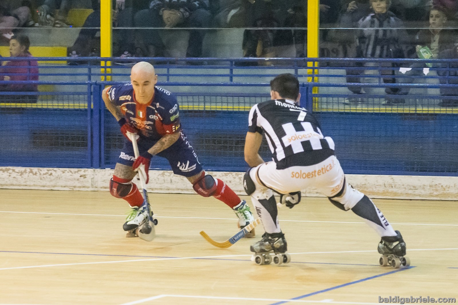 Hockey su pista, tornano le coppe europee