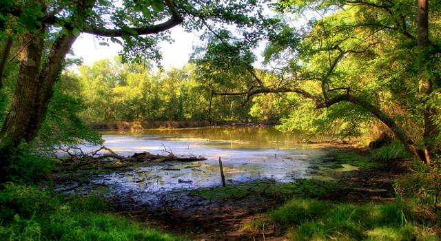 Giornata mondiale delle aree umide. Le iniziative del Parco