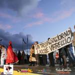 Freddo e proteste sul palco, la cerimonia di apertura del Carnevale di Viareggio 2015 1 Foto Mauro Pucci