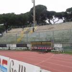 Gradinate ripulite per Viareggio-Piombino. Ma c'è un pino appoggiato all'ingresso 1 foto Vt