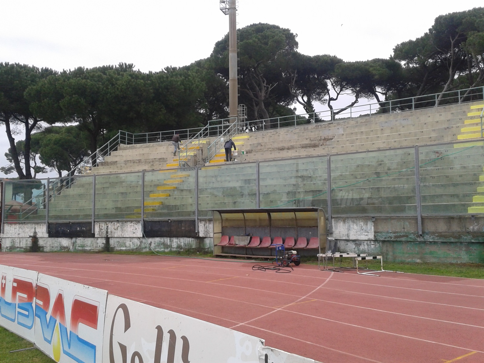 Rimosso il pino caduto sulla tettoia dello stadio