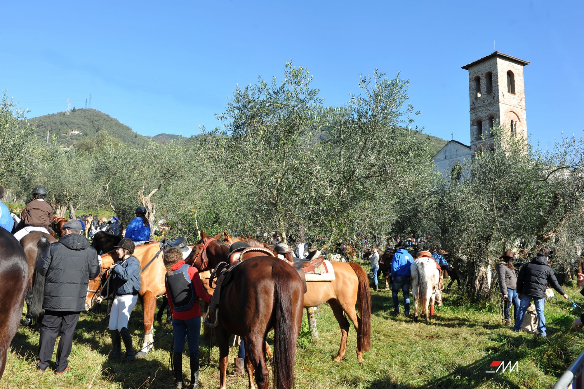 Benedizione degli animali a Pietrasanta