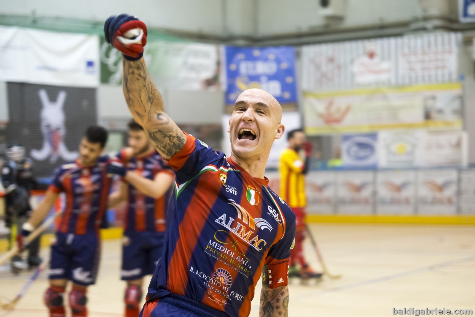 La fotogallery di Alimac Forte-Bassano